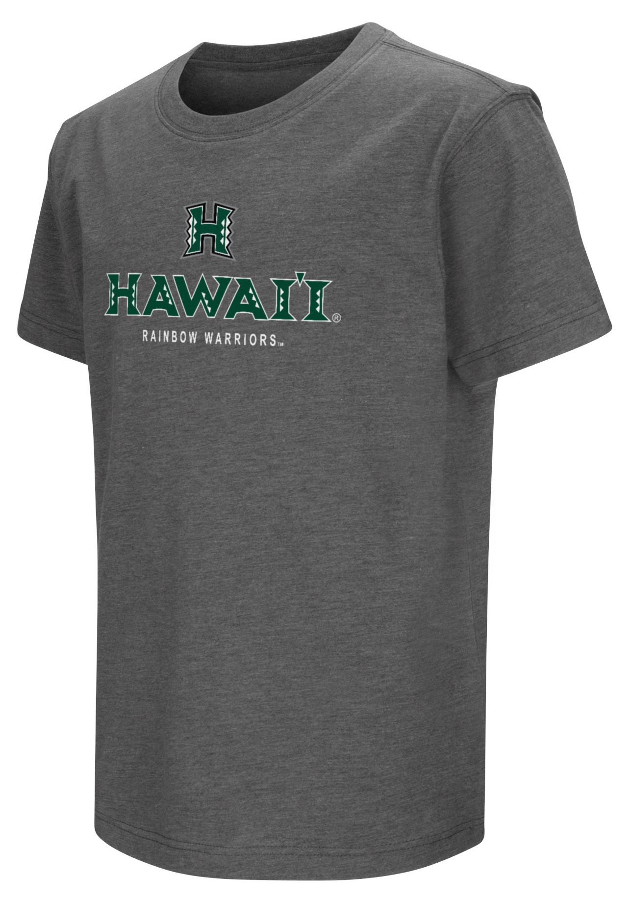Colosseum Youth Hawaii Warriors Gray 2024 Lock-Up Graphic T-Shirt