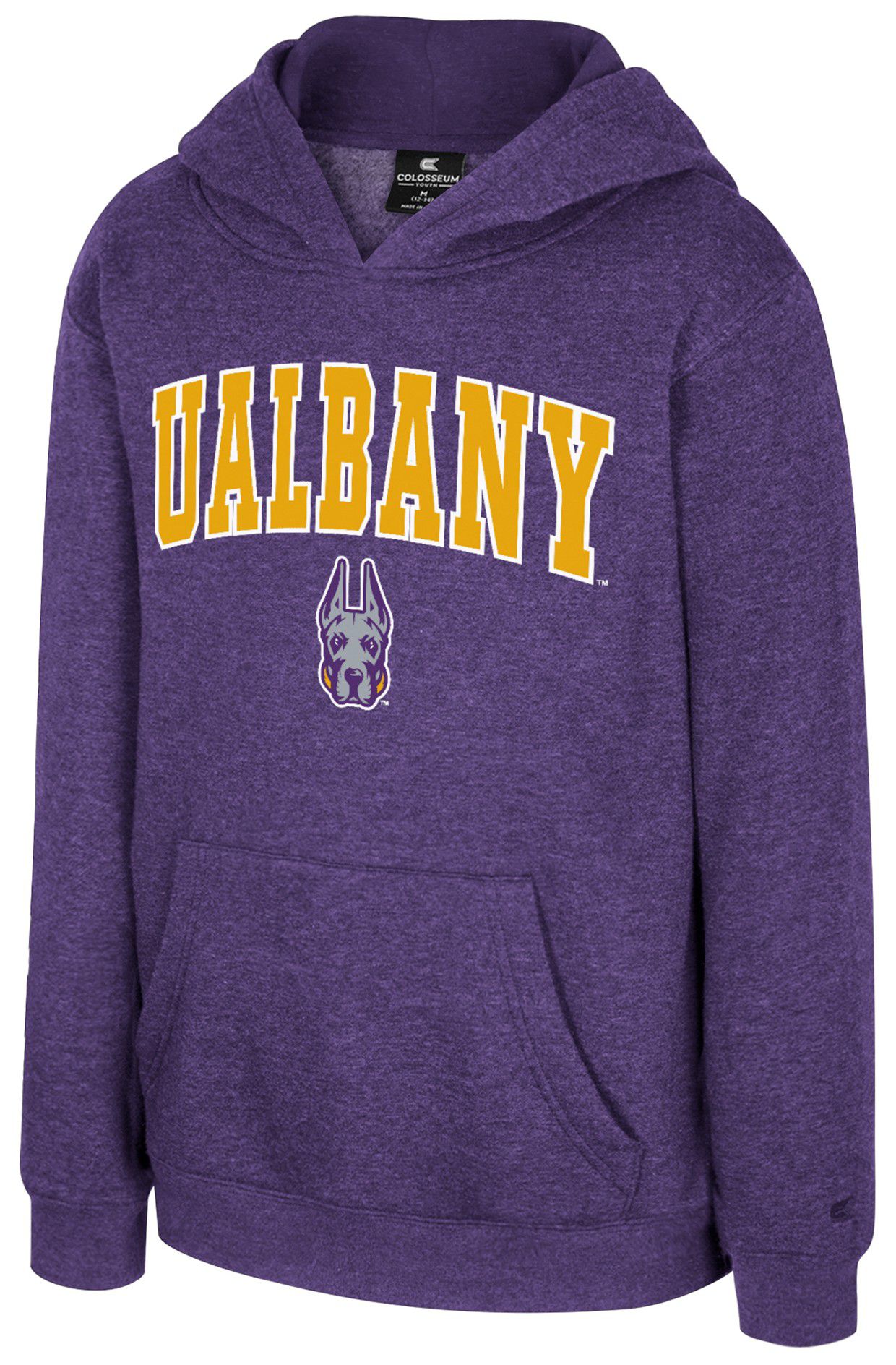 Colosseum Youth Albany Great Danes Purple Promo Pullover Hoodie