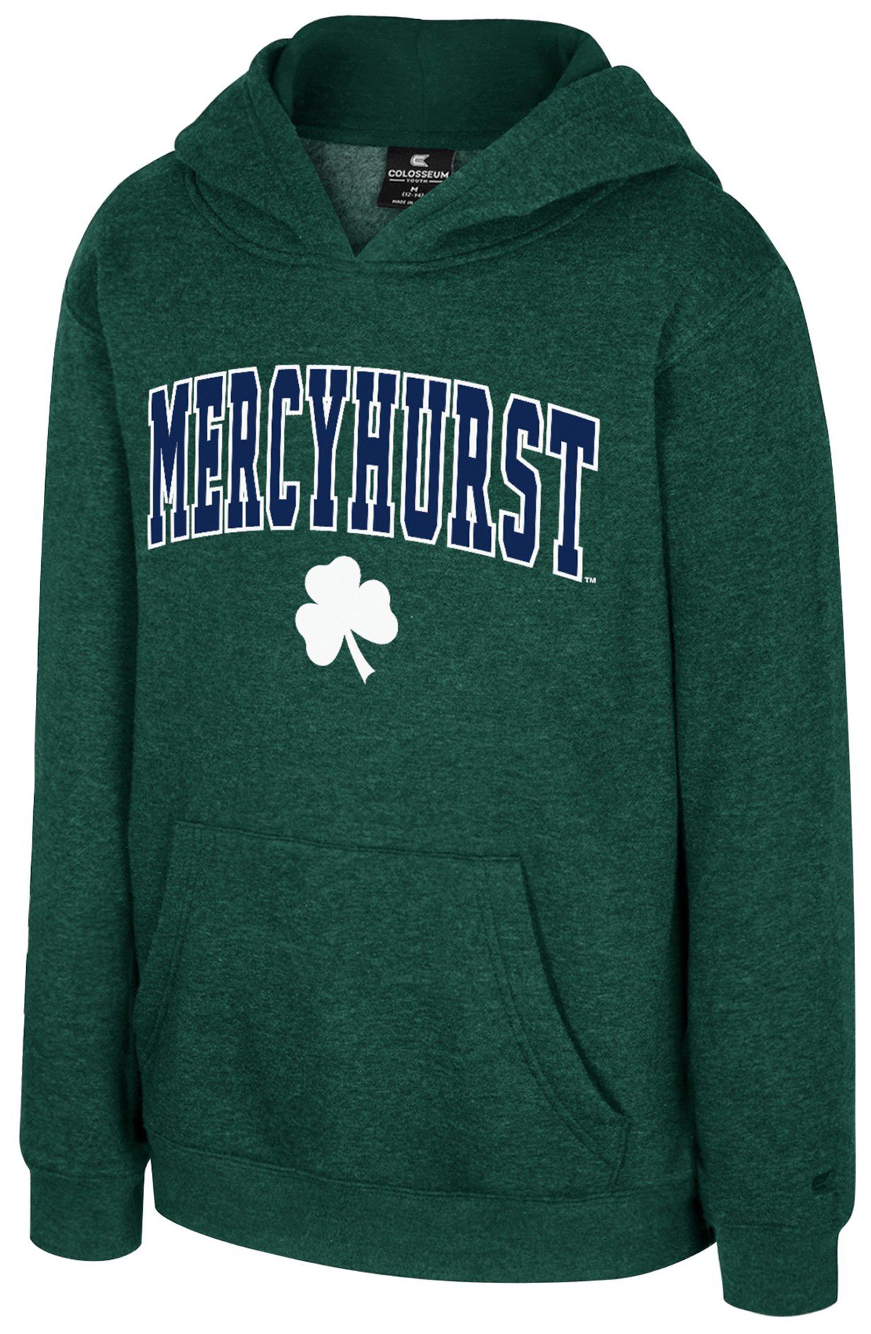 Colosseum Youth Mercyhurst Lakers Green Promo Pullover Hoodie