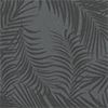 Black Palms