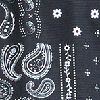 Pure Black Sport Paisley