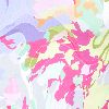 Pink Coast Camo