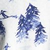 Ski Mountain Navy