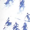 Ski Mountain Navy