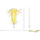 White/Yellow