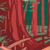 Redwood