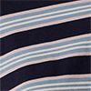 Moonlit Tidal Stripe