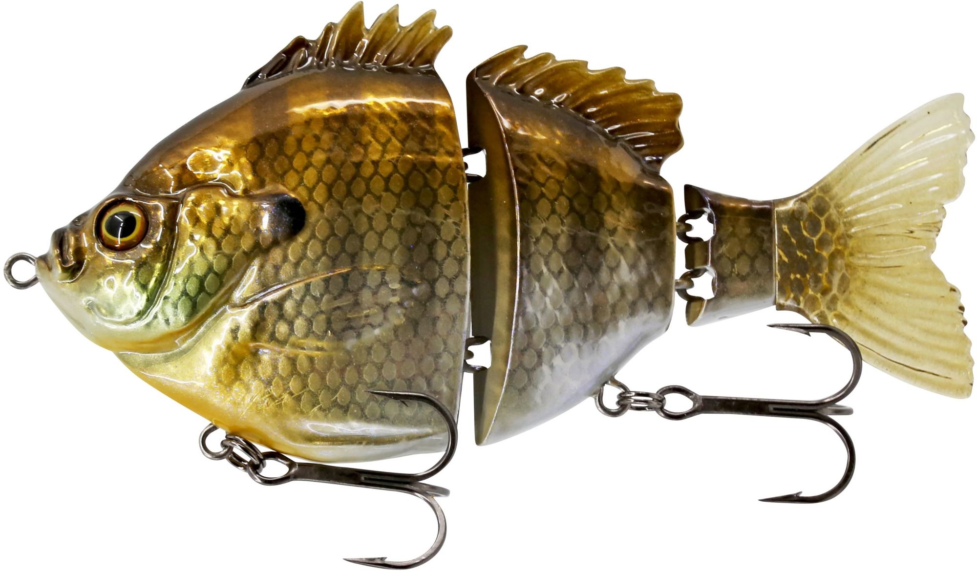 Summer Bluegill
