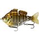 Summer Bluegill