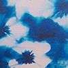 Blue Tie Dye