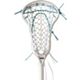 White/Carolina