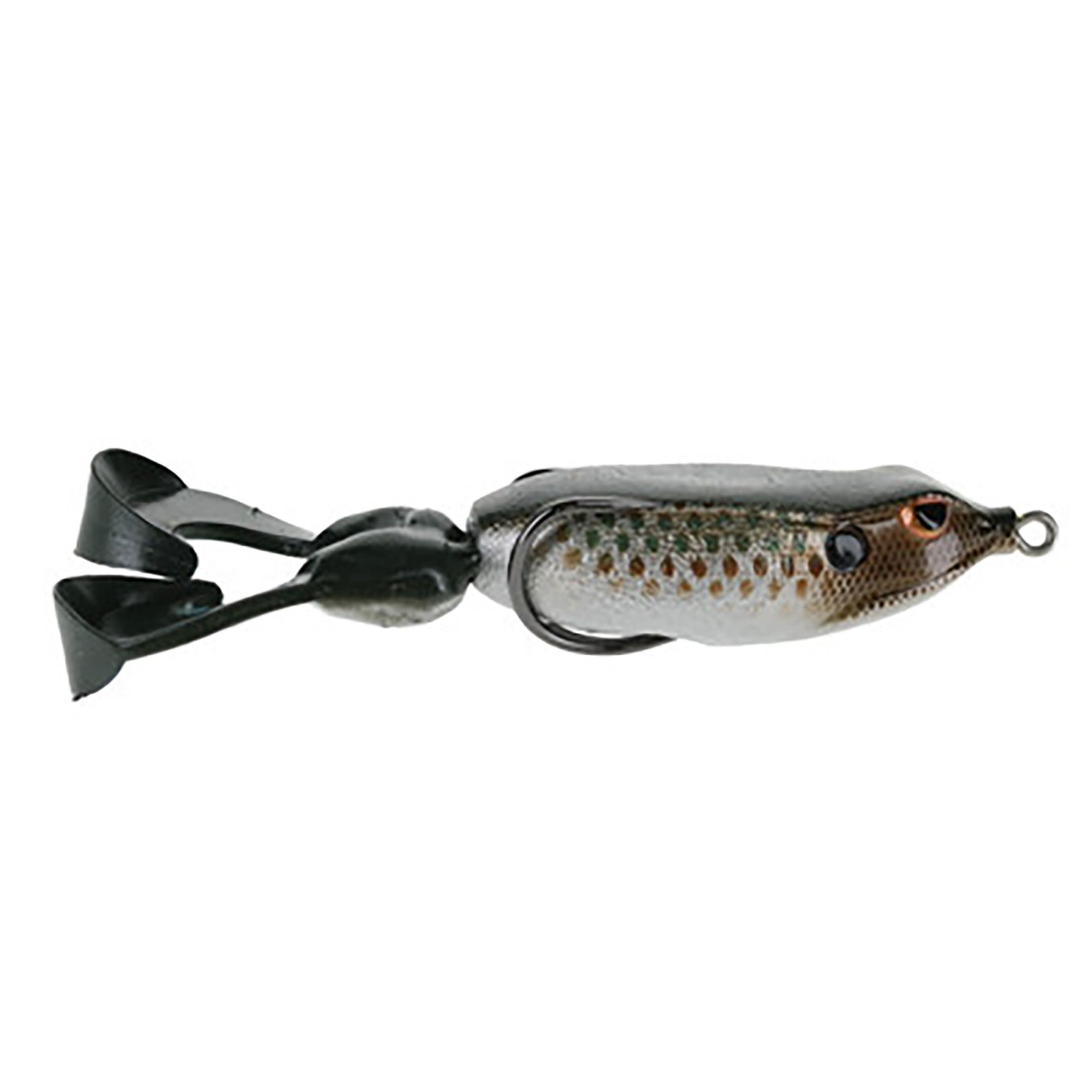 Gambler The Swimming Frog