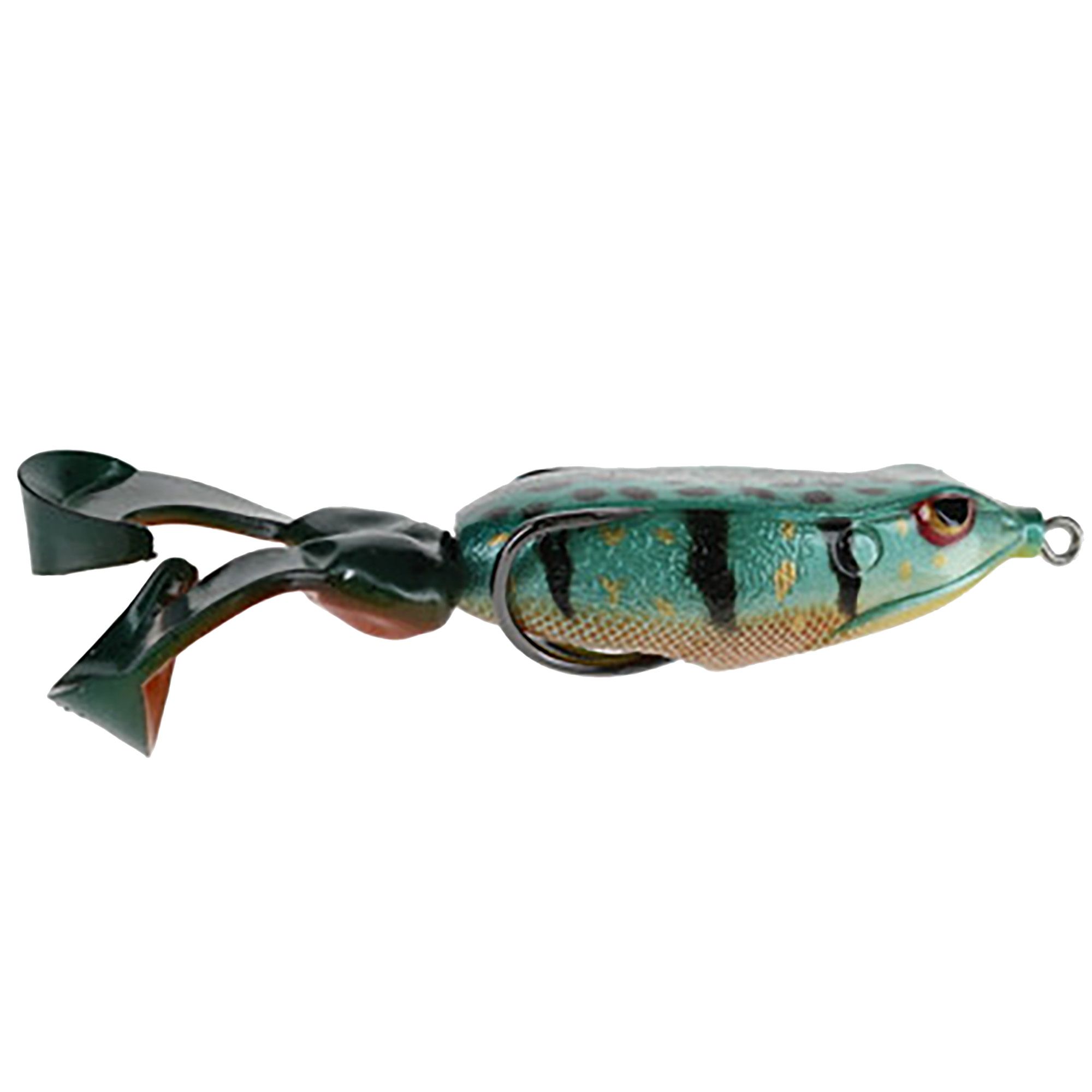 Gambler The Swimming Frog