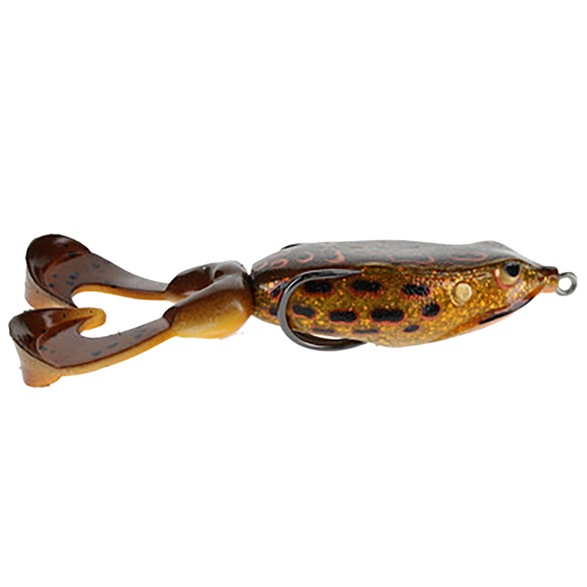 Gambler The Swimming Frog