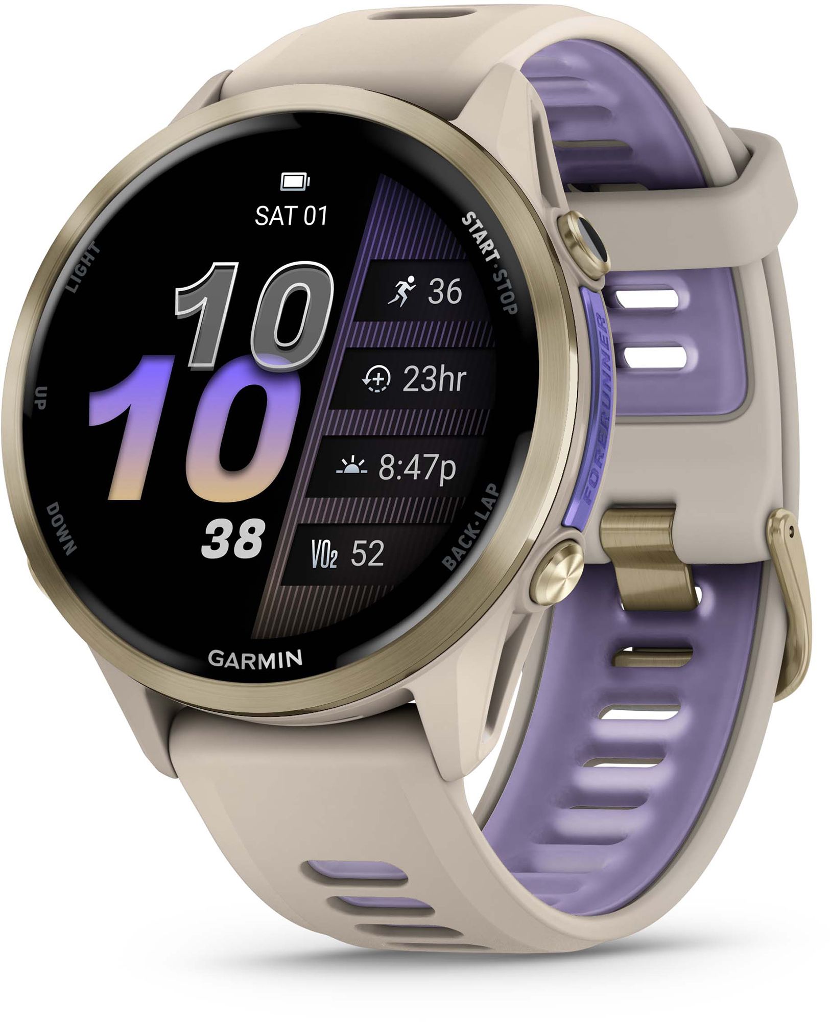 Gold/Purple
