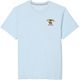 Ice Blue