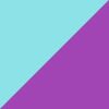 Blue/Purple