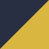 Michigan Yellow/Navy