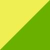 Neon Citrus/Neon Lime