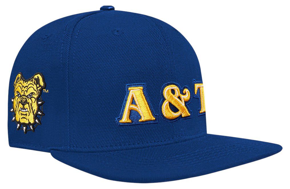 North Carolina A&T State Aggies