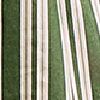 Line Stripe Green