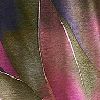Orchid Brush Print