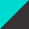Teal/Pink