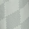 Light Silver