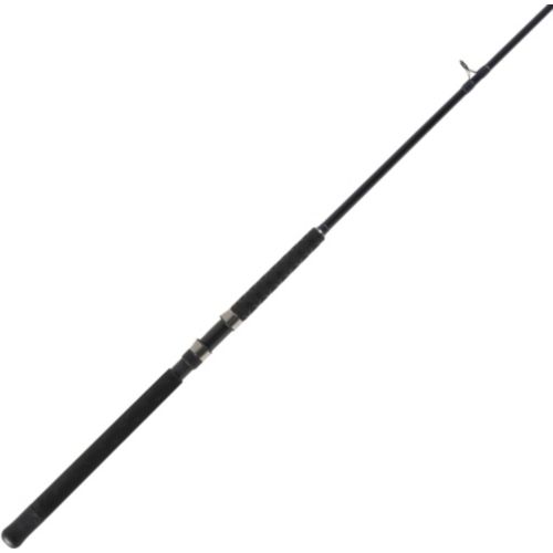 13 Fishing Defy Black Gen II Spinning Rod | Dick's Sporting