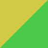 Lime/Yellow