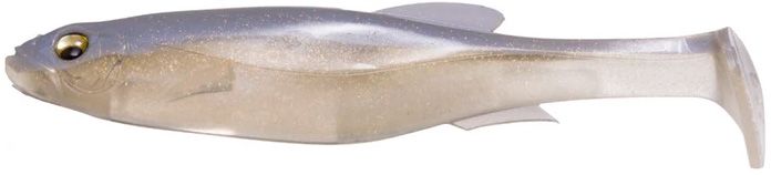 White Back Shad