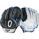 Black/Blue