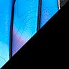 Blue/Black