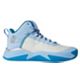 Blue/Silver