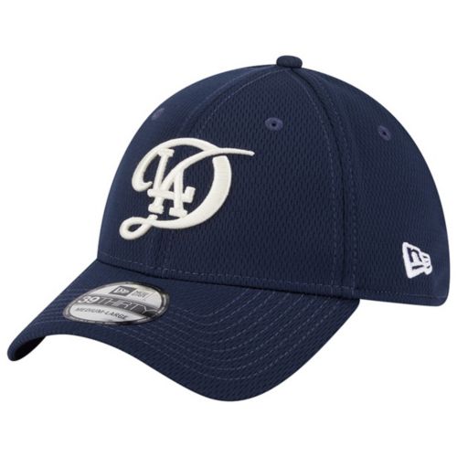 New Era Adult Los Angeles Dodgers City Connect 59Fifty