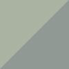 Silver Moss