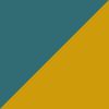 Jacksonville Jaguars