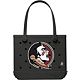 Florida State Seminoles
