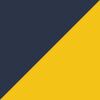 Michigan Wolverines