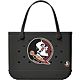 Florida State Seminoles