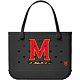 Maryland Terrapins