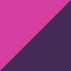 Purple/Pink