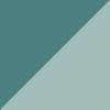 Teal/Metallic