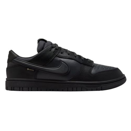 Nike Men's Dunk Low GORE-TEX Shoes