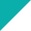 White/Black/Dusty Cactus/Bright Spruce