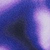 Court Purple