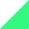 White/Black-Green Shock