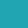 Dusty Cactus