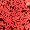 Bright Crimson