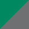 Silver/Green